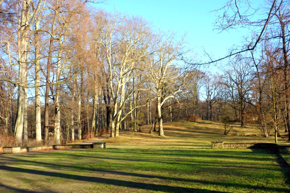 Park - Schloss Albrechtsberg - DSC09169