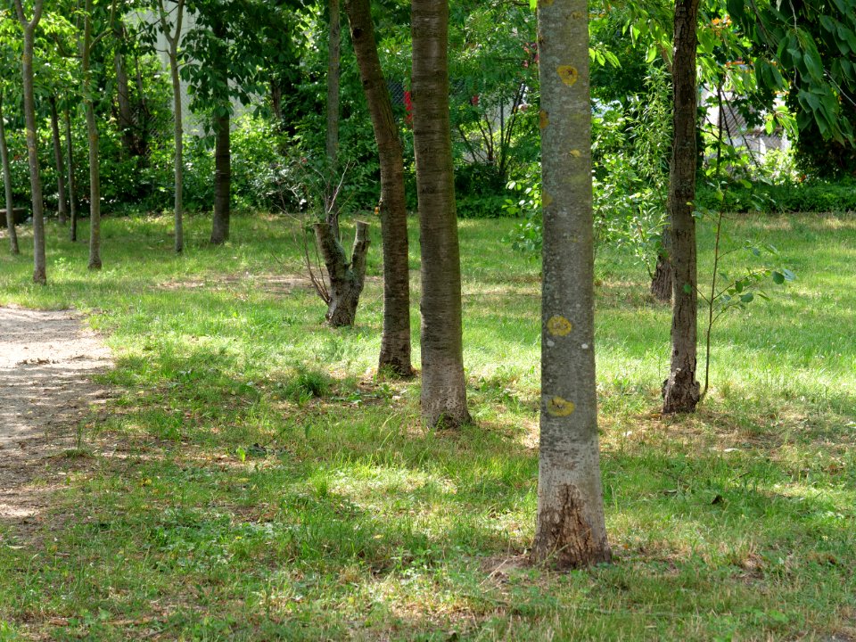 Park at Wasserstadt Spandau 2019-06-11 06