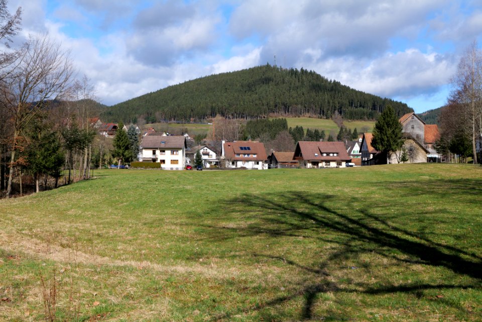 Park at Mühlgraben Forbach Baiersbronn 2020-03-12 02