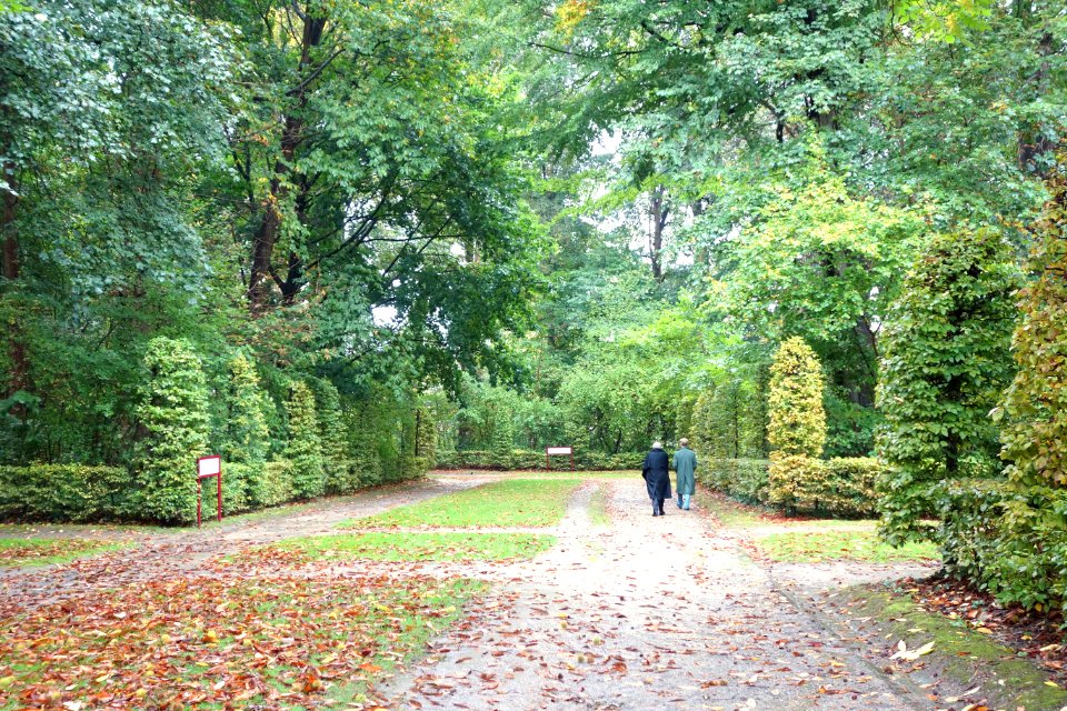 Park of the Royal Museum for Central Africa - DSC05663