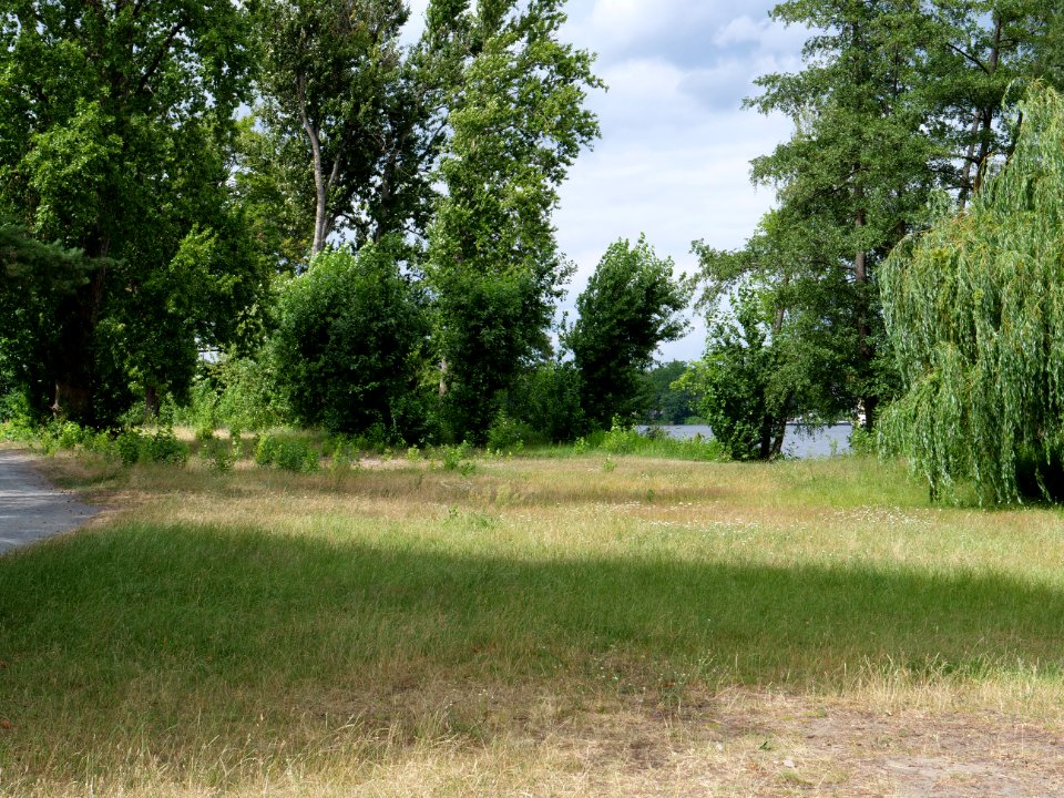 Park next to Havel in Berlin-Hakenfelde 2019-07-03 02