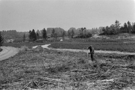 Parken, infrastructuur, exposities, tuinbouw, Bestanddeelnr 930-4694