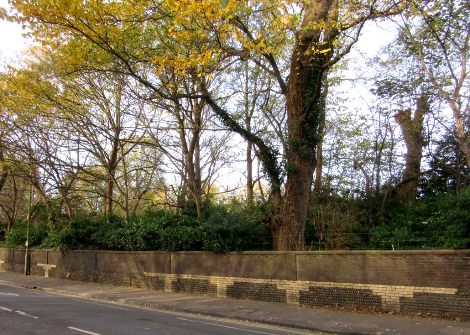 Park Crescent Gardens, Union Road, Round Hill, Brighton (November 2015)