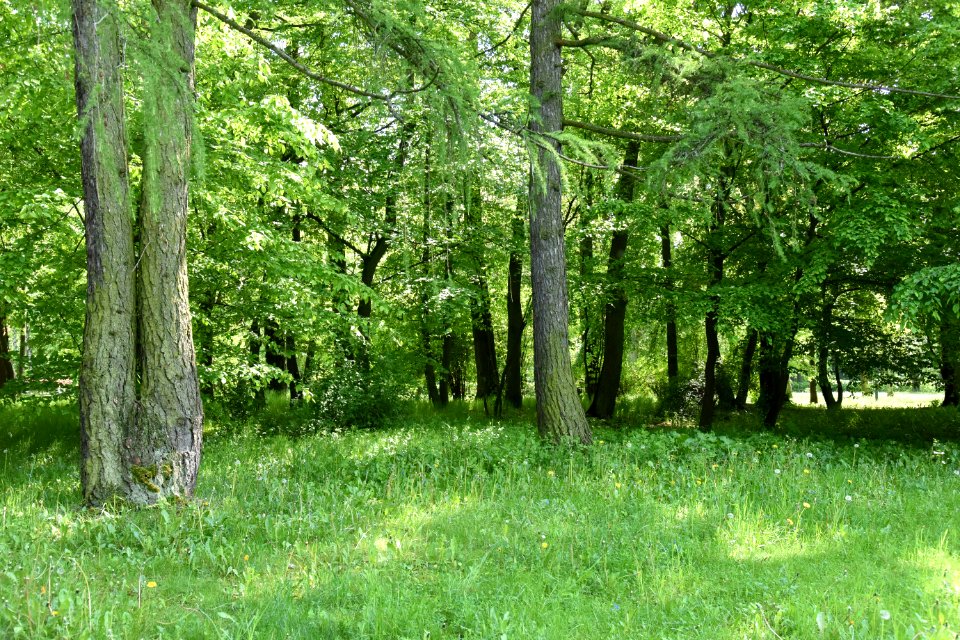Park Piłsudskiego in Łódź May 2019 007