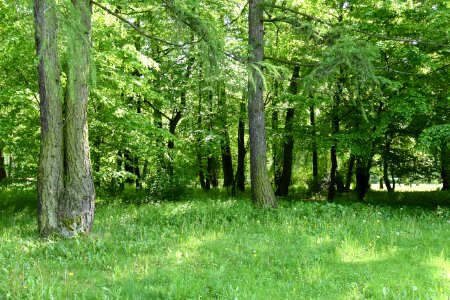 Park Piłsudskiego in Łódź May 2019 007