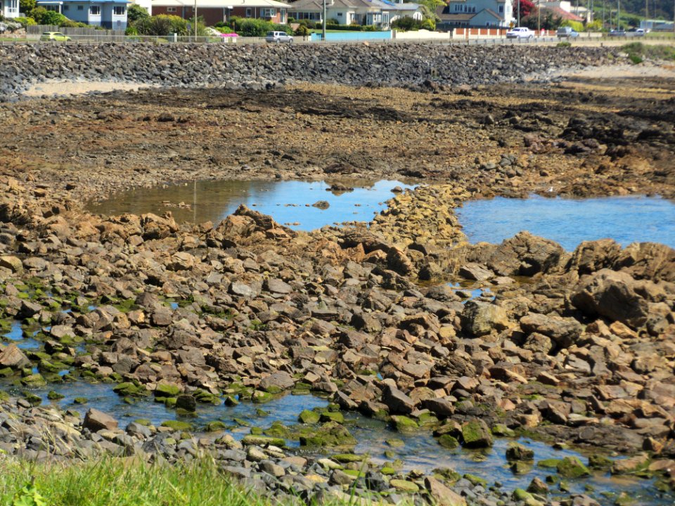 Parklands fish trap 20201025-002