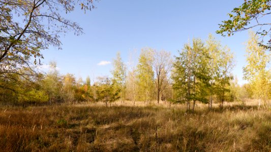 Parks.Range.Landschaft