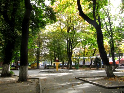 Parkzukow