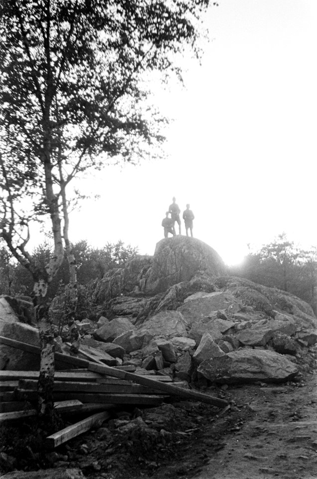 Park in Helsinki, Bestanddeelnr 920-4650