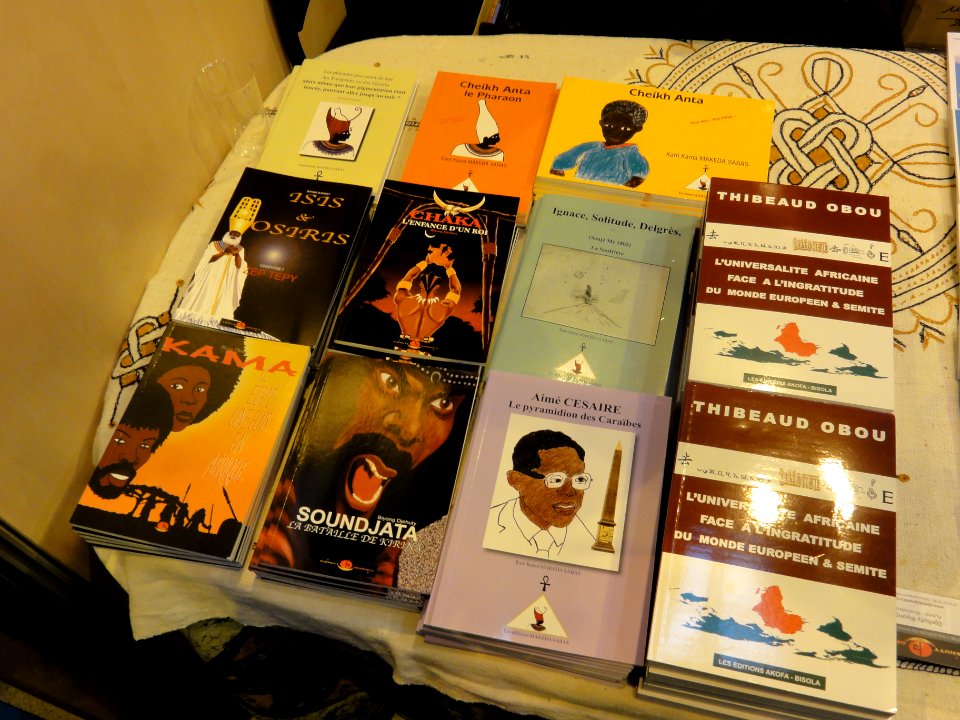 Paris, Salon du Livre 2015 (15) Quelques livres d'auteurs africains