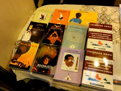 Paris, Salon du Livre 2015 (15) Quelques livres d'auteurs africains