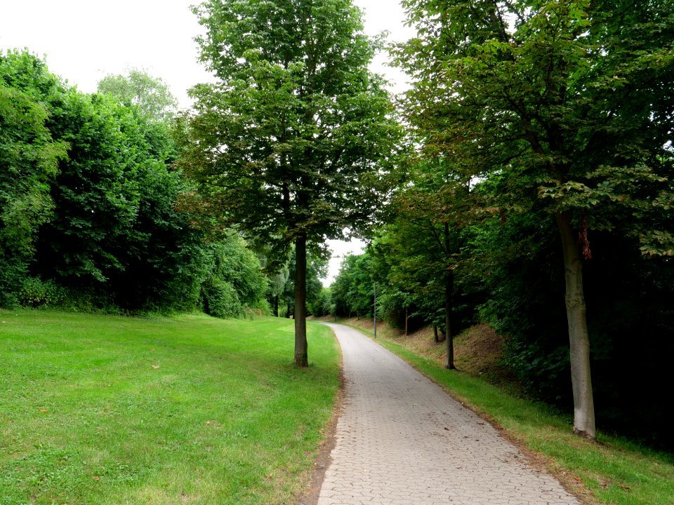 Park in Fulda 2019-07-14 1