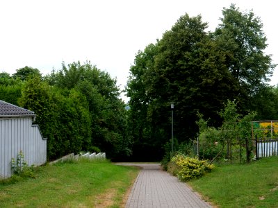 Park in Fulda 2019-07-14 2