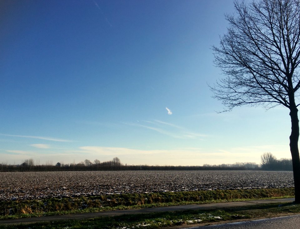 Park Lingezegen (Doornik, Bemmel)