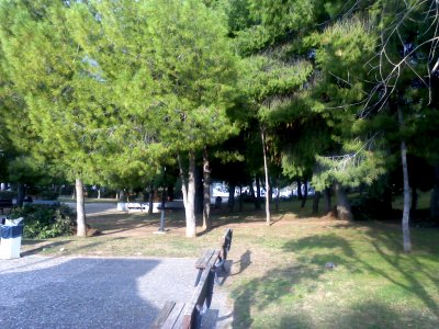 ParkIpapantisAgiaFilothei
