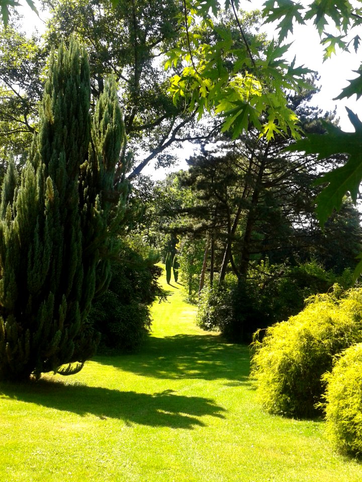 Parc arboretum du manoir aux loups 02