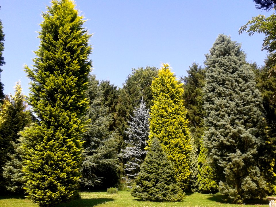 Parc arboretum du manoir aux loups 04