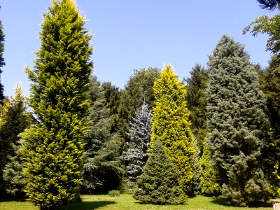Parc arboretum du manoir aux loups 04
