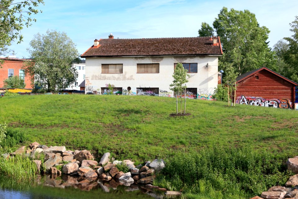 Paratiisisaari Oulu 20190623