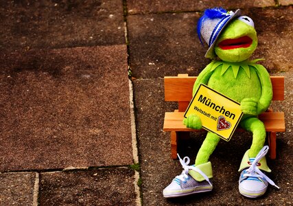 Kermit hat frog