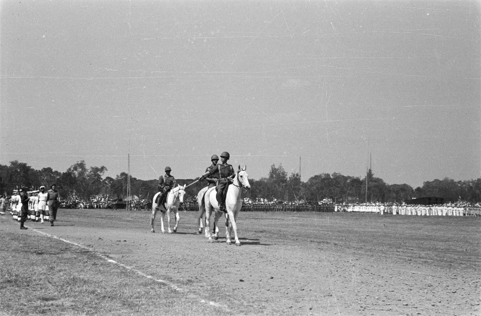 Paradecommandant te paard, Bestanddeelnr 35-3-3