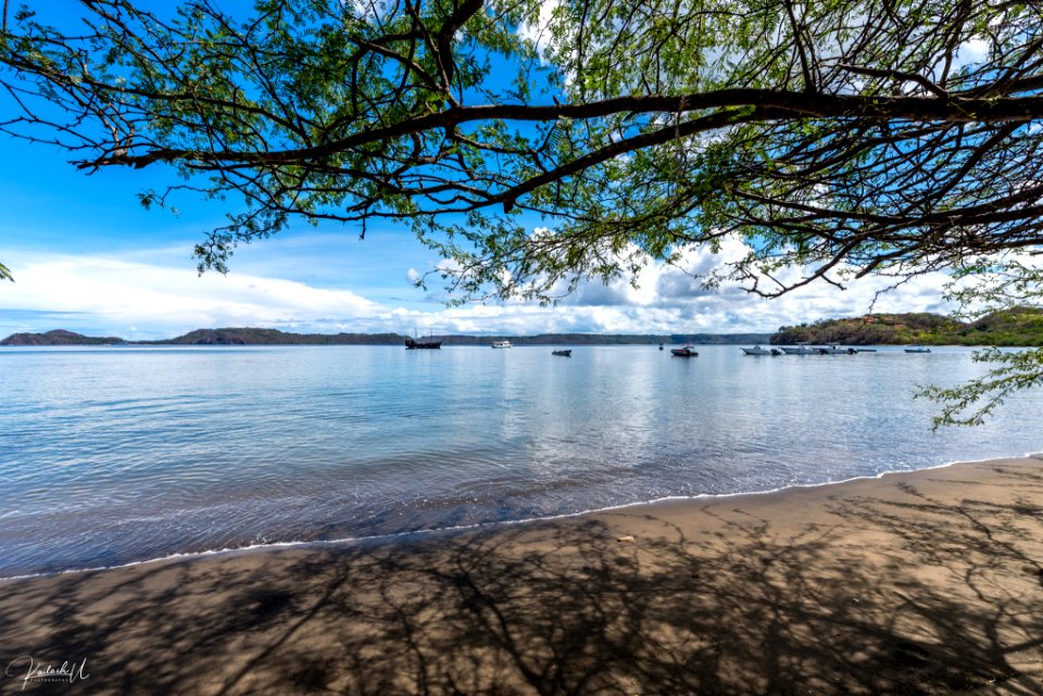 Paradise (260447059)