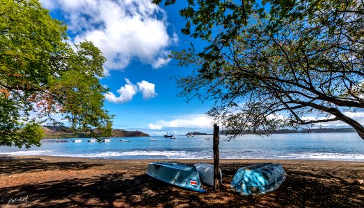 Paradise (260447113)