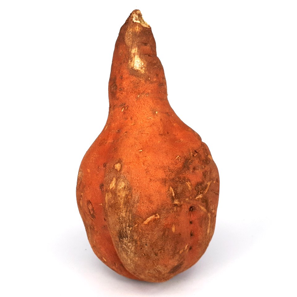 Pear-shaped sweet potato 2017 A1