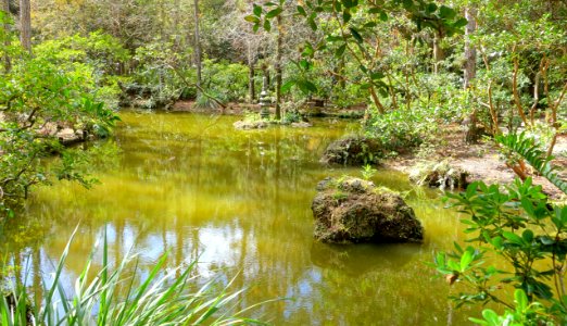 Paradise Garden - Morikami Museum and Japanese Gardens - Palm Beach County, Florida - DSC03360