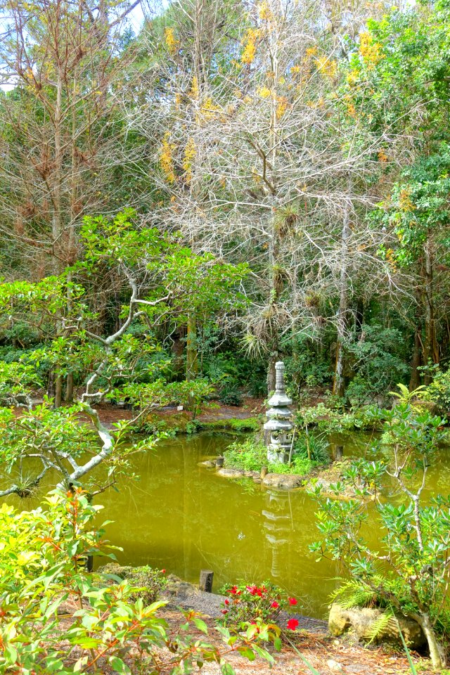 Paradise Garden - Morikami Museum and Japanese Gardens - Palm Beach County, Florida - DSC03362
