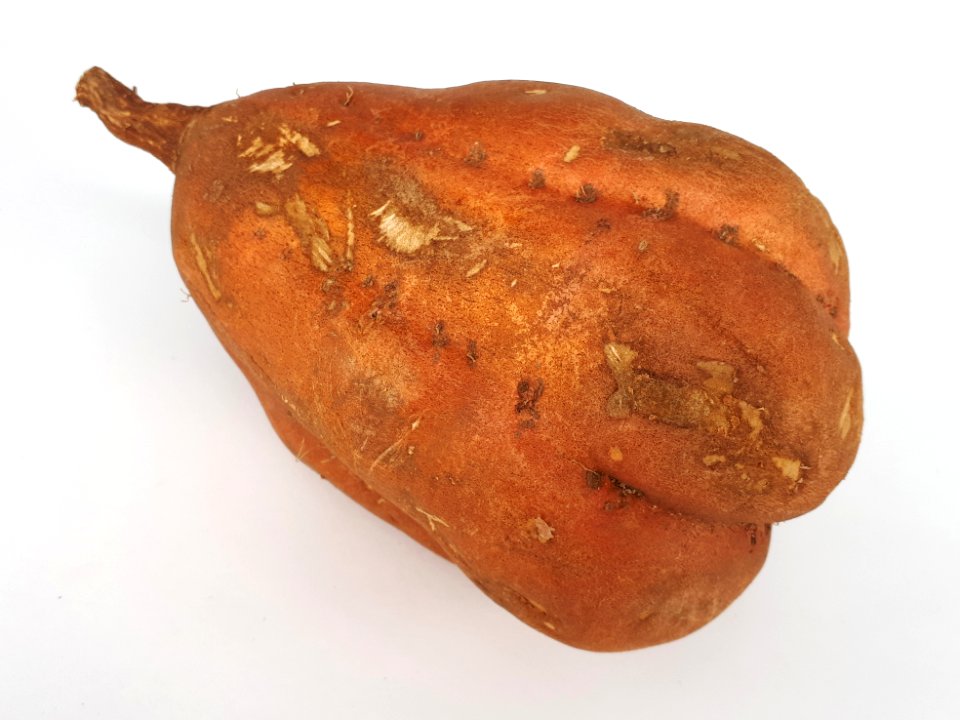 Pear-shaped sweet potato 2017 B2