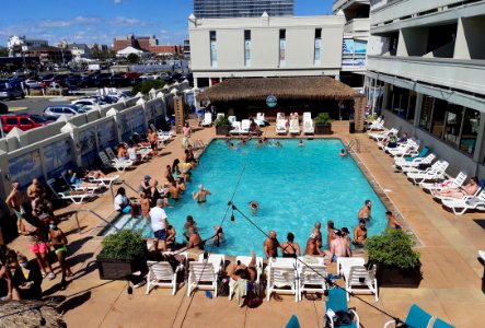 Paradise pool summer