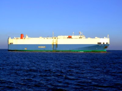 Pearl Ace IMO 9051818 photo-5