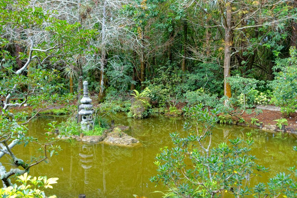 Paradise Garden - Morikami Museum and Japanese Gardens - Palm Beach County, Florida - DSC03364