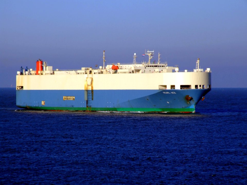 Pearl Ace IMO 9051818 photo-1