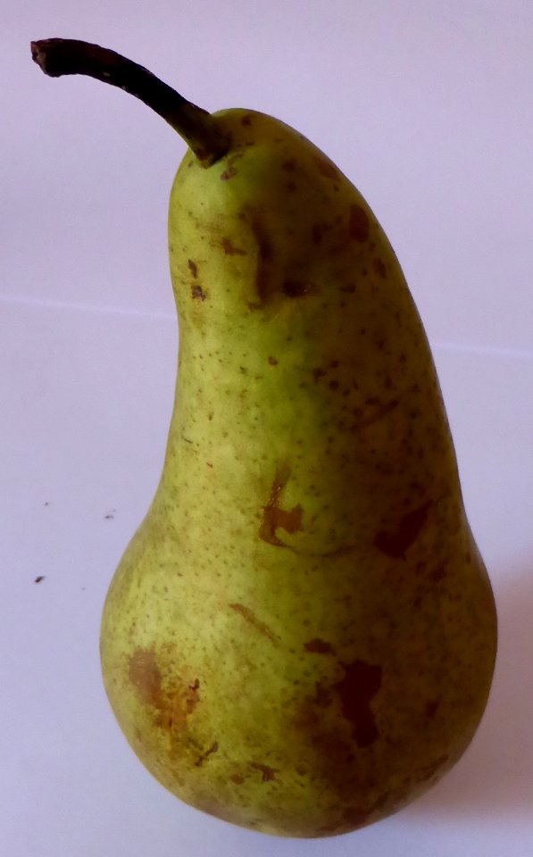 Pear-2