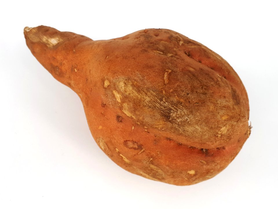 Pear-shaped sweet potato 2017 A2