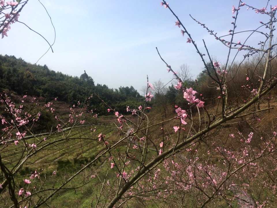 Peace Valley of Mount Dongwu in Huitang Town of Ningxiang County, Hunan, picture15