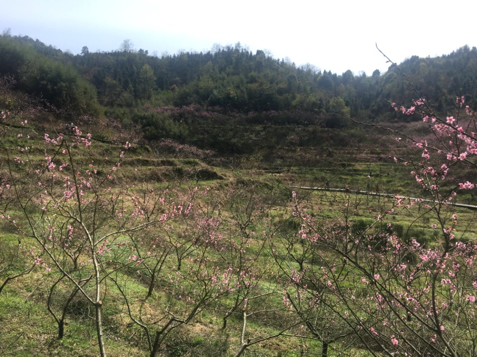 Peace Valley of Mount Dongwu in Huitang Town of Ningxiang County, Hunan, picture14