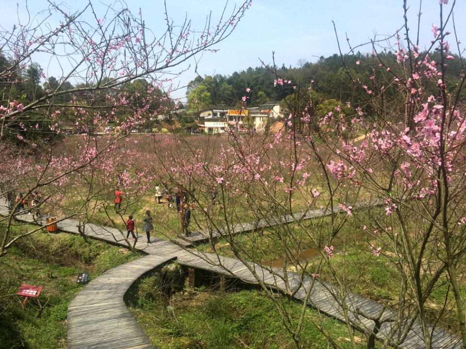 Peace Valley of Mount Dongwu in Huitang Town of Ningxiang County, Hunan, picture22