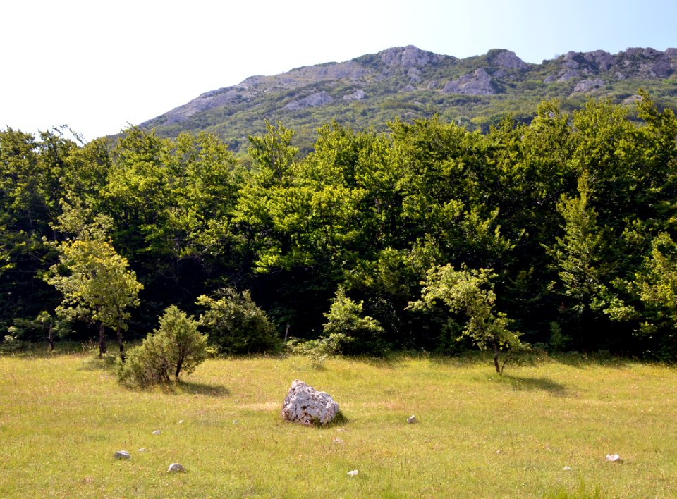 Pech de Bugarach 27072014 15