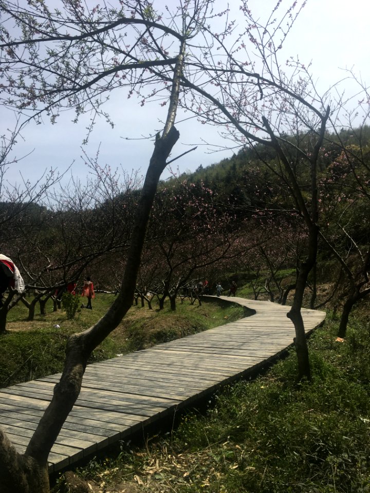Peace Valley of Mount Dongwu in Huitang Town of Ningxiang County, Hunan, picture12