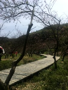 Peace Valley of Mount Dongwu in Huitang Town of Ningxiang County, Hunan, picture12