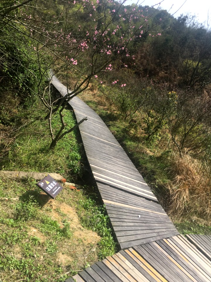 Peace Valley of Mount Dongwu in Huitang Town of Ningxiang County, Hunan, picture17