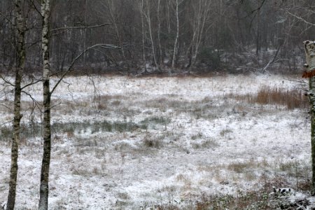 Pechsee with snow 2021-01-03 04