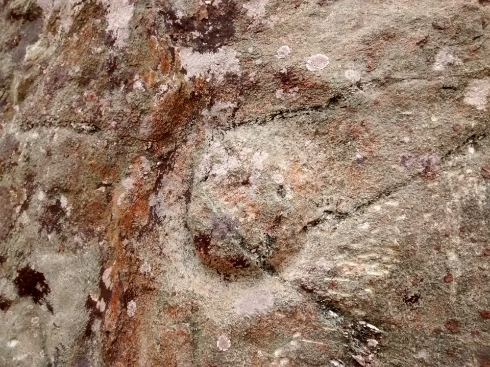 Pecked curvilinear nucleated petroglyph - close-up