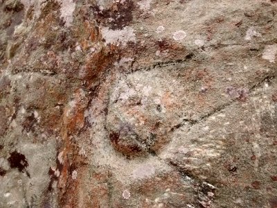 Pecked curvilinear nucleated petroglyph - close-up
