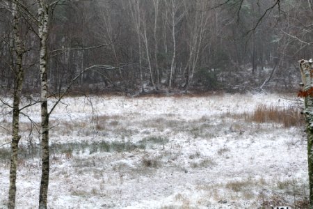 Pechsee with snow 2021-01-03 02