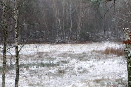 Pechsee with snow 2021-01-03 01