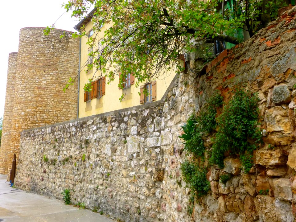 Peñacerrada - Puerta amurallada 38